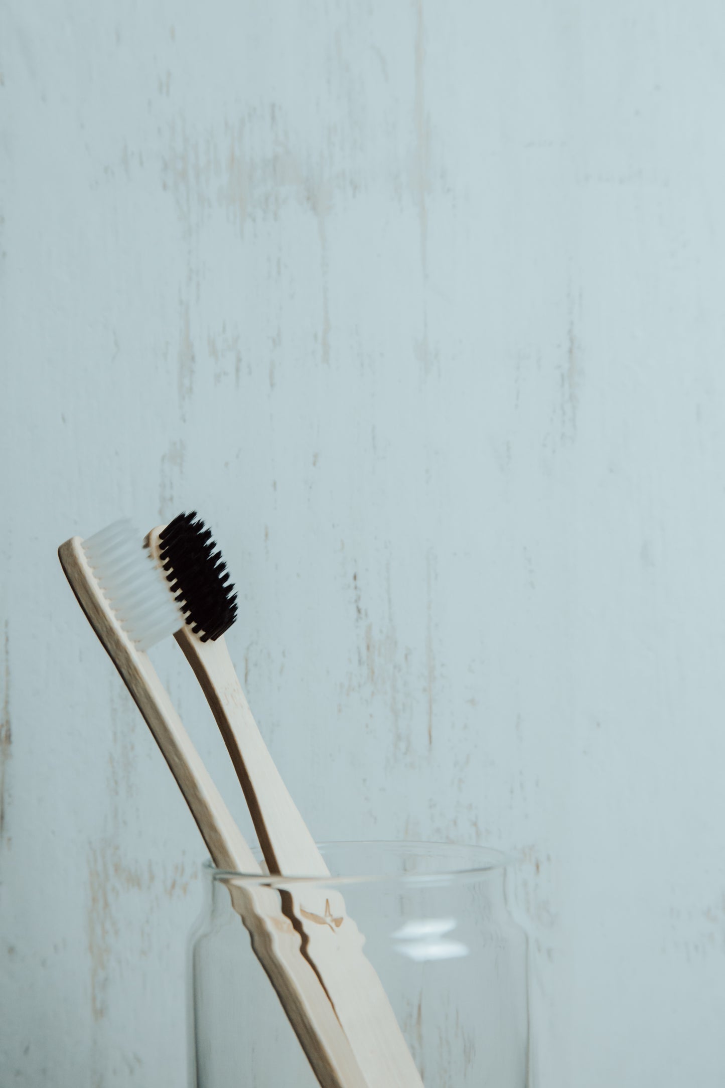 Set Spazzolini ecosostenibili in Bambù BAMBUSMILE™